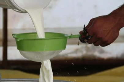 Dünya süt üretimi arttı