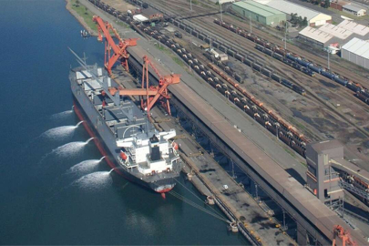 Deniz ticareti kaynaklı kirlilik müsilaj oluşumunu tetikleyebilir