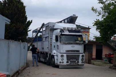 Prefabrik ev elektrik tellerine takıldı