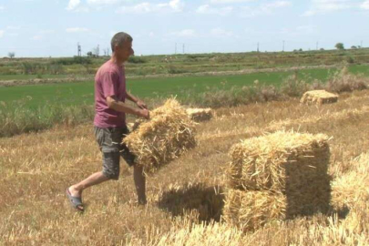 Trakyalı çiftçinin saman mesaisi