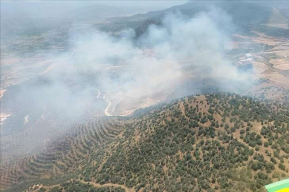 İzmir'de tarlada başlayan yangın ormana sıçradı