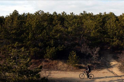 Ormanlık alanlara girişler 30 Eylül'e kadar yasaklandı