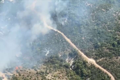 Manisa'nın Saruhanlı ilçesinde orman yangını çıktı