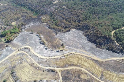 Çanakkale'deki orman yangınında 2 bin 500 hektar alan zarar gördü