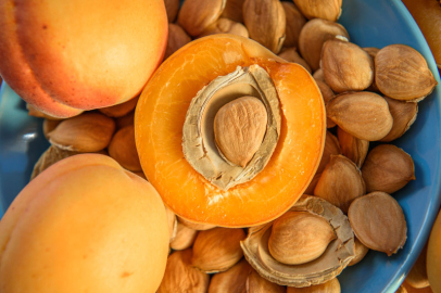 Kayısının kansere karşı etkisi