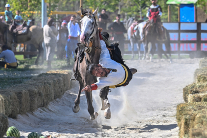 Malazgirt Zaferi'nin 952. yıl dönümü coşkusu yaşanıyor