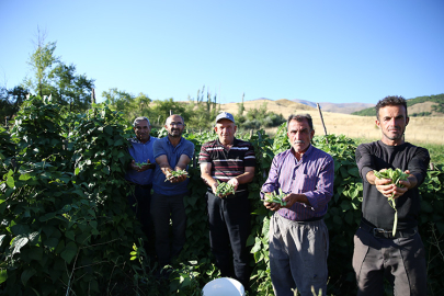 Terör nedeniyle terk ettikleri köylerine 30 yıl sonra döndüler