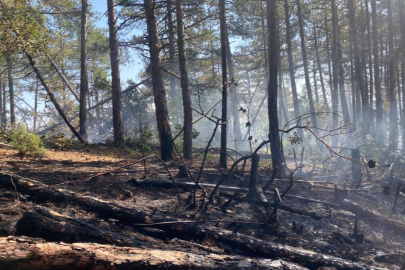 Kütahya'daki orman yangını için Bursa'dan seferberlik
