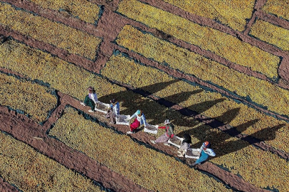Afetzede kayısı üreticilerine hasar ödemesi yapıldı