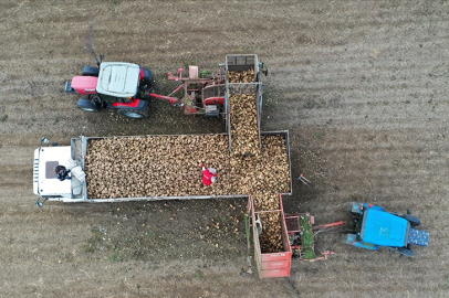 Pancar üreticilerine avans ödemeleri bugün yapılacak