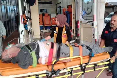 Elektrik akımına kapılan çift yaralandı