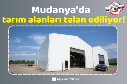 Mudanya’da tarım alanları talan ediliyor!