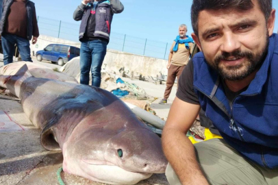 Kurşunlu'da Jaws yakaladılar!