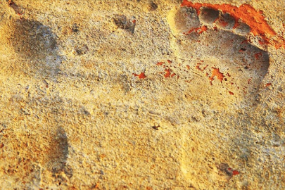 "Gladyatörler kenti"ndeki kazılarda 1900 yıllık çocuk ayak izlerine rastlandı