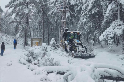 Bursa’da ağacın elektrik direğinin üzerine devrilmesi kesintiye yol açtı