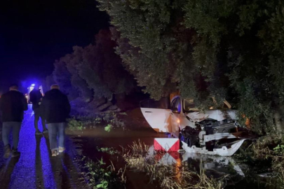 Zeytin ağacına çarpan aracın sürücüsü kazadan hafif yaralı kurtuldu