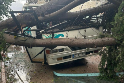 Şiddetli rüzgarda üzerine ağaç devrilen midibüs hurdaya döndü