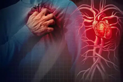 Damar hastalıkları en önemli ölüm nedenlerinden