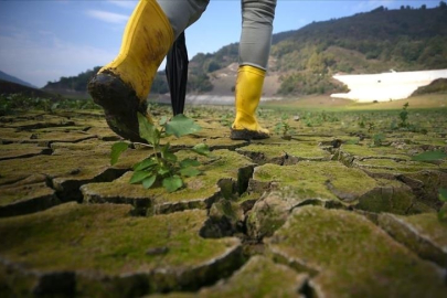 BM: Tarım-gıda sektörü, iklim değişikliği nedeniyle artan bir tehditle karşı karşıya