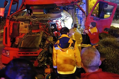 Kontrolden çıkan tır ağaca çarptı, sürücü ağır yaralandı