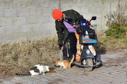 Engelli genç 10 yıldır sokak hayvanlarını besliyor