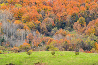 Güz güzeli İnegöl