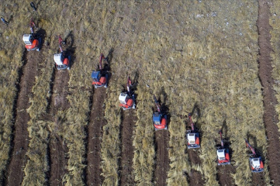 Türkiye'de toprağı korumak için "iklim senaryoları" da uygulanıyor