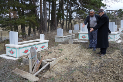 Kış uykusuna yatamayan ayılar, mezarları kazmaya başladı 