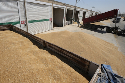 Hububat, bakliyat, yağlı tohumlar ve mamulleri sektörü Körfez pazarına yöneldi