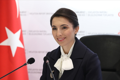 TCMB Başkanı Erkan, reel sektör toplantılarına DEİK ve TİM ile devam edecek