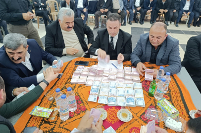 Aşiret düğününde 100 koyun kesildi: Geline kilolarca altın, damada ise milyonlarca lira takıldı 