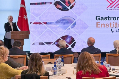 YÖK, Gastronomi Enstitüsü kuruyor