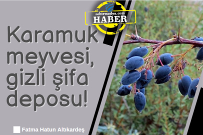 Karamuk meyvesi, gizli şifa deposu!