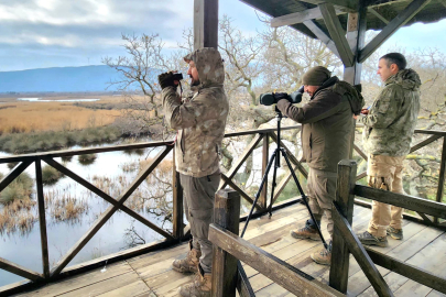 Bursa'daki su kuşları tek tek sayıldı