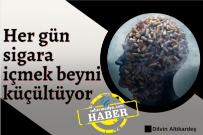 Her gün sigara içmek beyni küçültüyor
