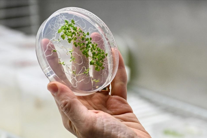 Türk astronot Gezeravcı'nın uzaydaki ilk deneyi uzayda tarım çalışmalarına yön verecek