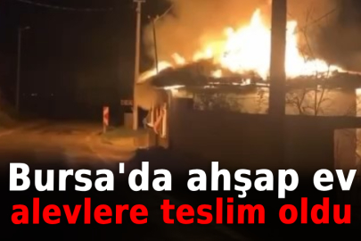Bursa'da ahşap ev alevlere teslim oldu
