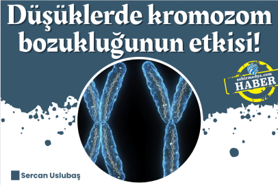 Düşüklerde kromozom bozukluğunun etkisi!
