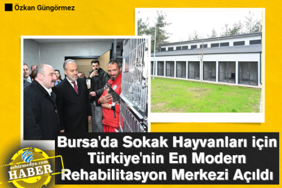 Bursa'da Sokak Hayvanları için Türkiye'nin En Modern Rehabilitasyon Merkezi Açıldı