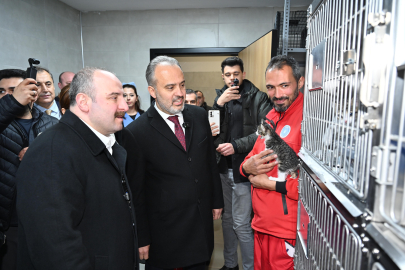 Can dostlara modern yeni yuva