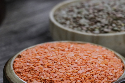 Güneydoğu'nun 2 aylık hububat ihracatı 560 milyon dolara ulaştı