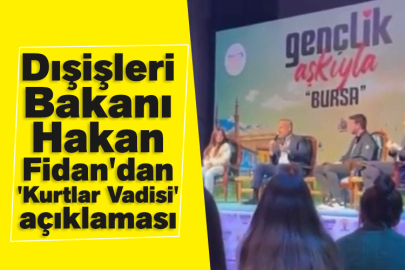 Dışişleri Bakanı Hakan Fidan'dan, 'Kurtlar Vadisi' açıklaması
