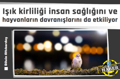 Işık kirliliği insan sağlığını ve hayvanların davranışlarını da etkiliyor