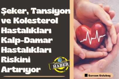 Şeker, Tansiyon ve Kolesterol Hastalıkları Kalp-Damar Hastalıkları Riskini Artırıyor