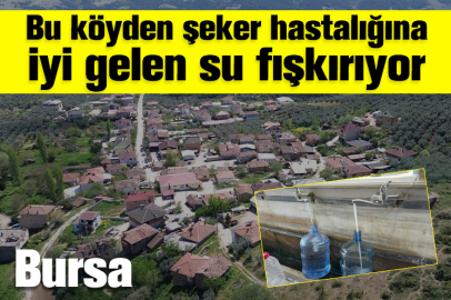Bu köyden şeker hastalığına iyi gelen su fışkırıyor