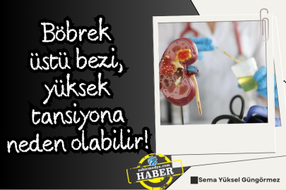 Böbrek üstü bezi, yüksek tansiyona neden olabilir!