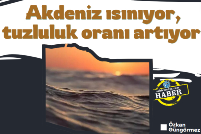 Akdeniz ısınıyor, tuzluluk oranı artıyor 