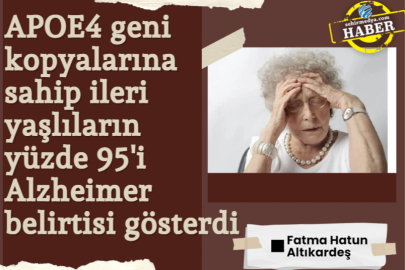 APOE4 geni kopyalarına sahip ileri yaşlıların yüzde 95'i Alzheimer belirtisi gösterdi 