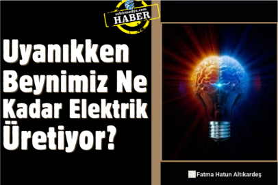 Uyanıkken Beynimiz Ne Kadar Elektrik Üretiyor?