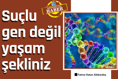 Suçlu gen değil yaşam şekliniz